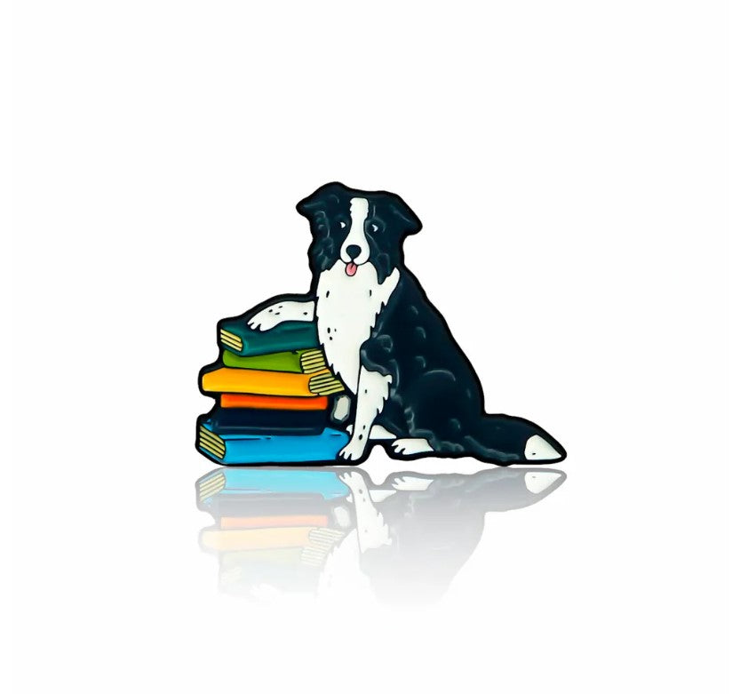 Border collie with books