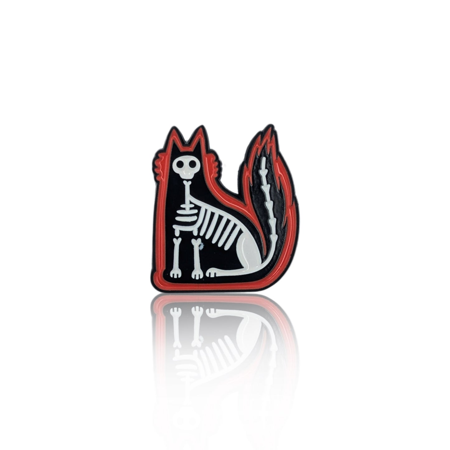 Cat skeleton