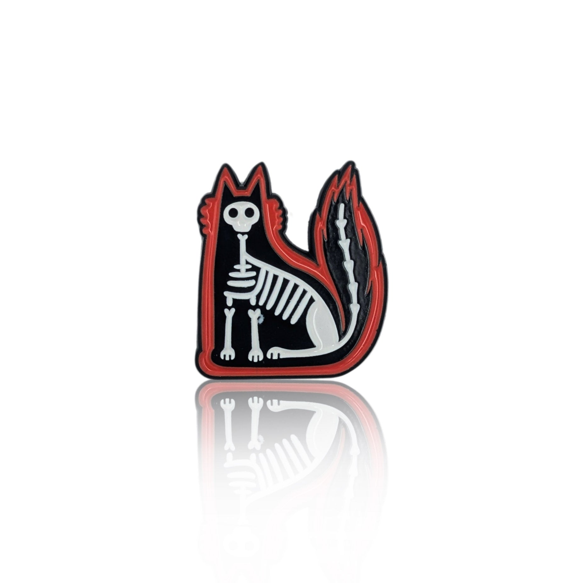 Cat skeleton